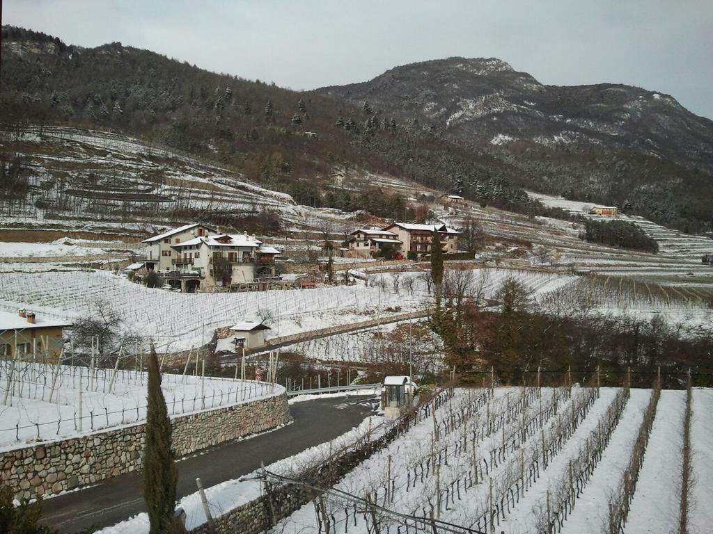 Hotel Agritur Le Pergole Villa Lagarina Zewnętrze zdjęcie