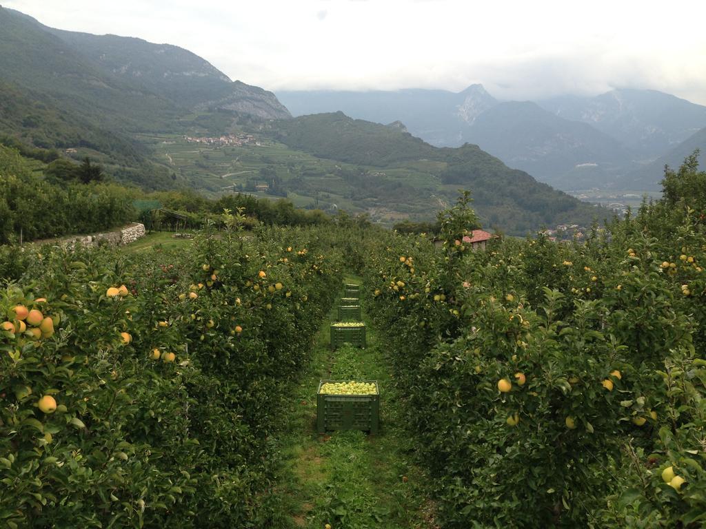 Hotel Agritur Le Pergole Villa Lagarina Zewnętrze zdjęcie
